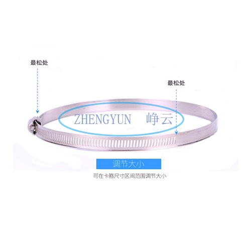 不鏽鋼卡箍